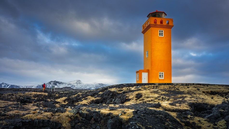 Orange. . Zdjęcie 339492