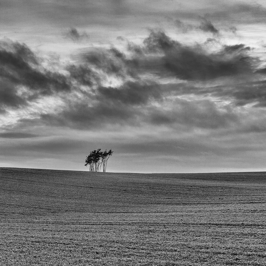 janish - . . Zdjęcie 167215