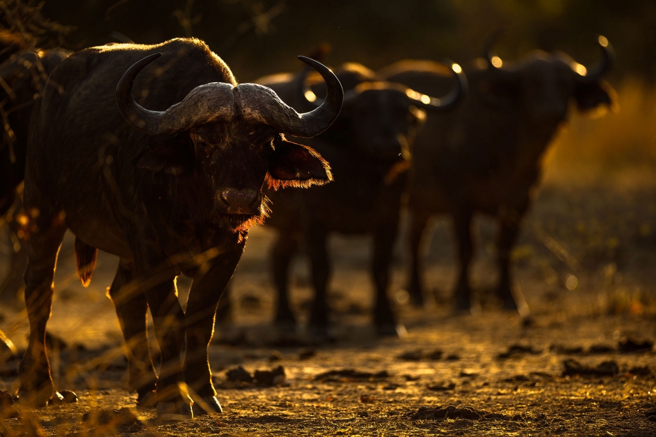 rybo_lub - Zwarci i gotowi. . Zdjęcie 325705