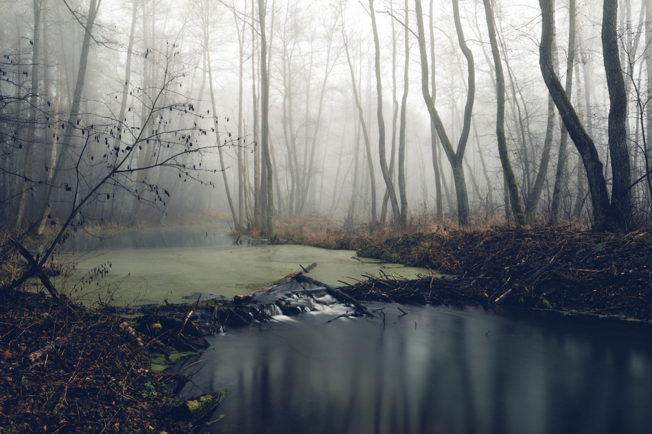 shooter76 - . . Zdjęcie 281619