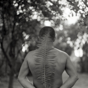 ...natura sonoris 