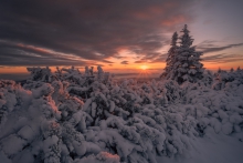 Winter Memories....