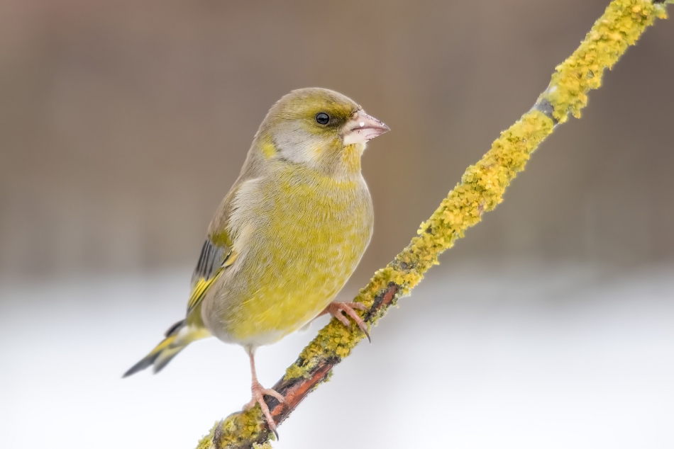 roman53 - . . Zdjęcie 288684