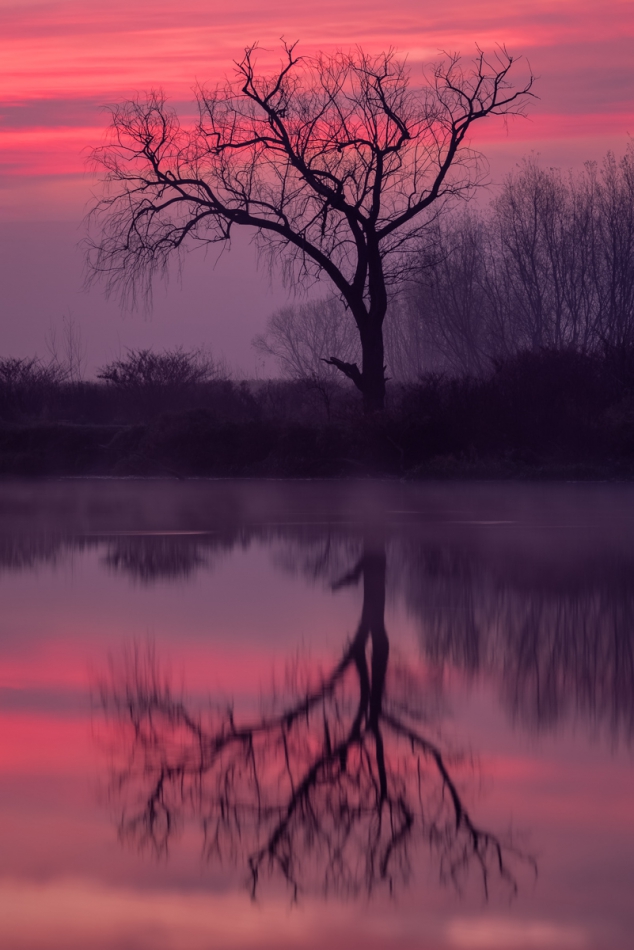 przemczan - ~~~. . Zdjęcie 254403