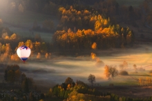 Fly Away..