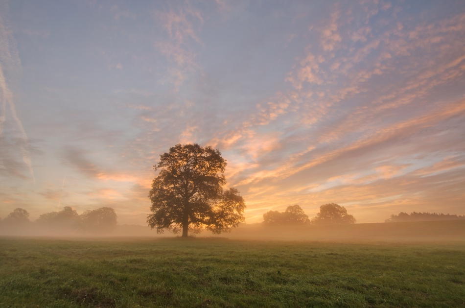 master95 - ***. . Zdjęcie 221067