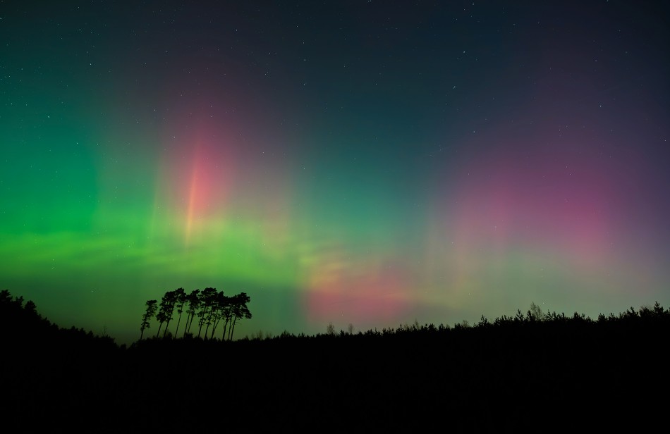 Zjawiskowa zorza polarna nad lasem. Zorza 19.01.2026 r.. Zdjęcie 338708