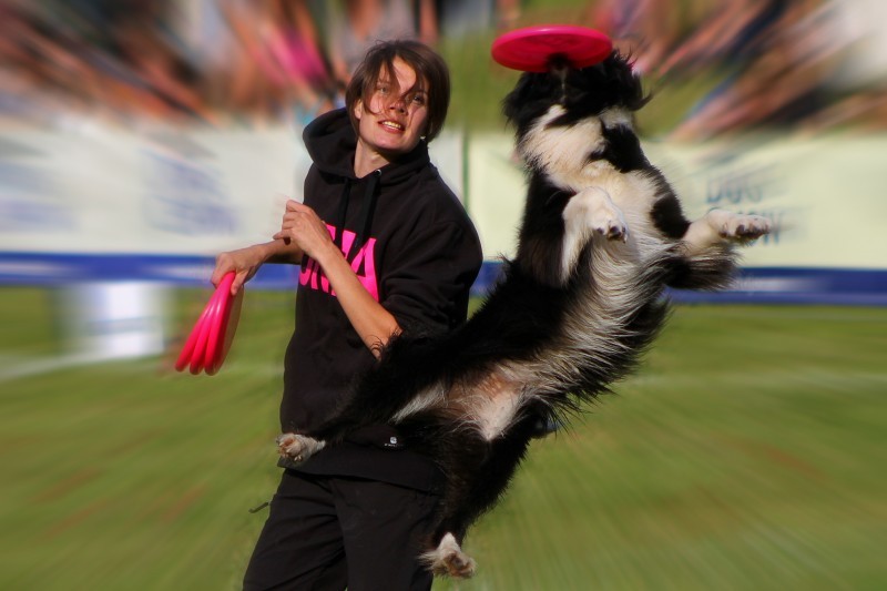 konasz - latający pies. . Zdjęcie 37111