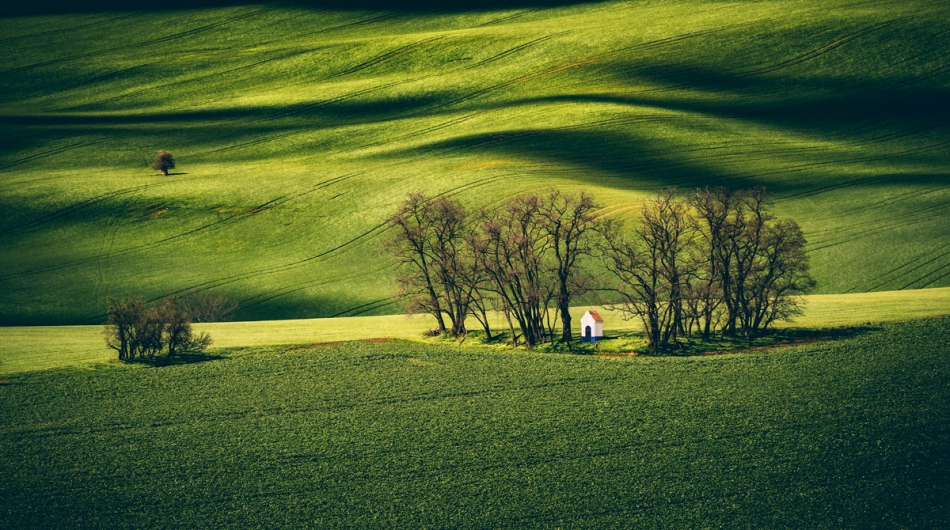 ferb72_ - Morawy . . Zdjęcie 262499
