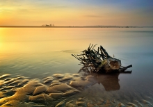 Golden river