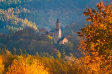 Autumn Castle...