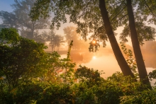 Autumn in Calisia