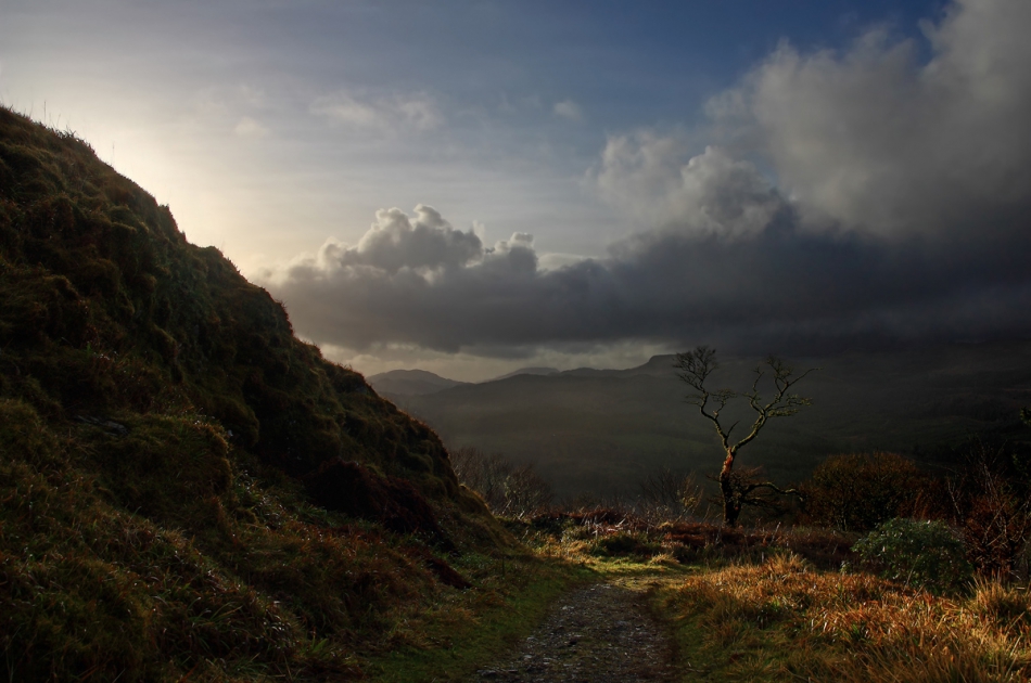 starinski - .... . Zdjęcie 150014