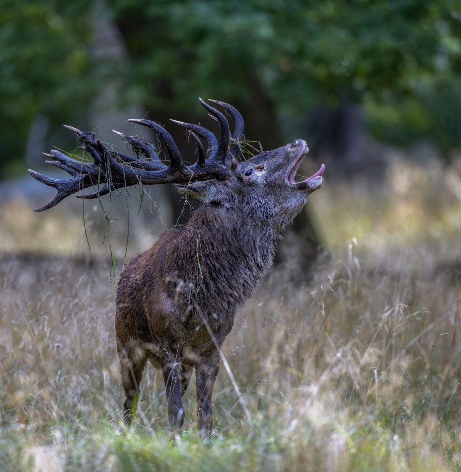 rybo_lub - Jasny przekaz.... . Zdjęcie 336471