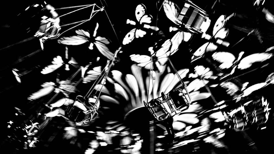 motylkowy zawrót głowy. . Zdjęcie 336658