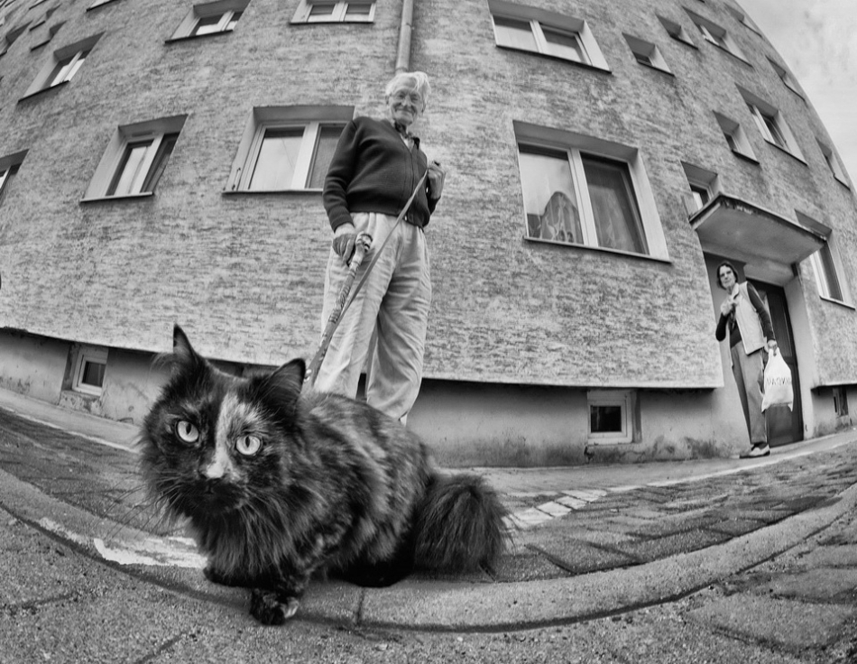 marhaba - urban trans. . Zdjęcie 142688