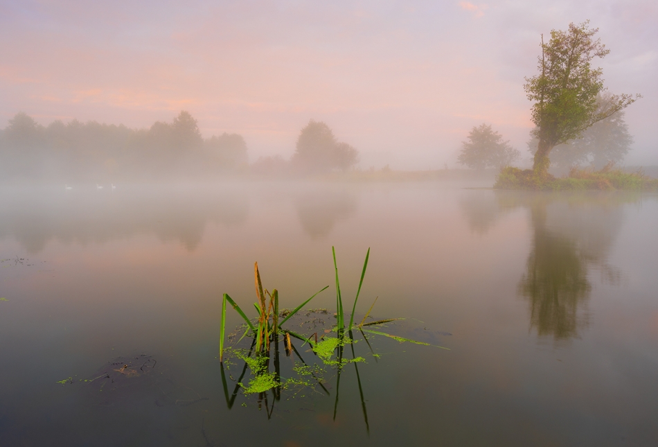 walz - Pilica. Październikowy mglisty poranek tuż przed wschodem słońca.  Canon EOS R6 mark II +obiektyw RF 14-35/4 L+ filtr połówkowy szary+ statyw +wodery. Zdjęcie 327488