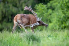 Co by nie mówić, jest p...