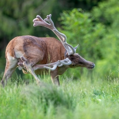 Co by nie mówić, jest problem...
