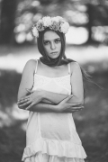 Viola