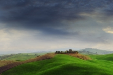 Tuscany field
