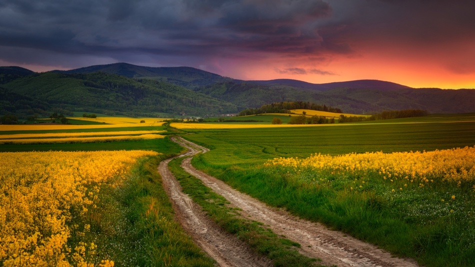 shooter76 - . . Zdjęcie 288932