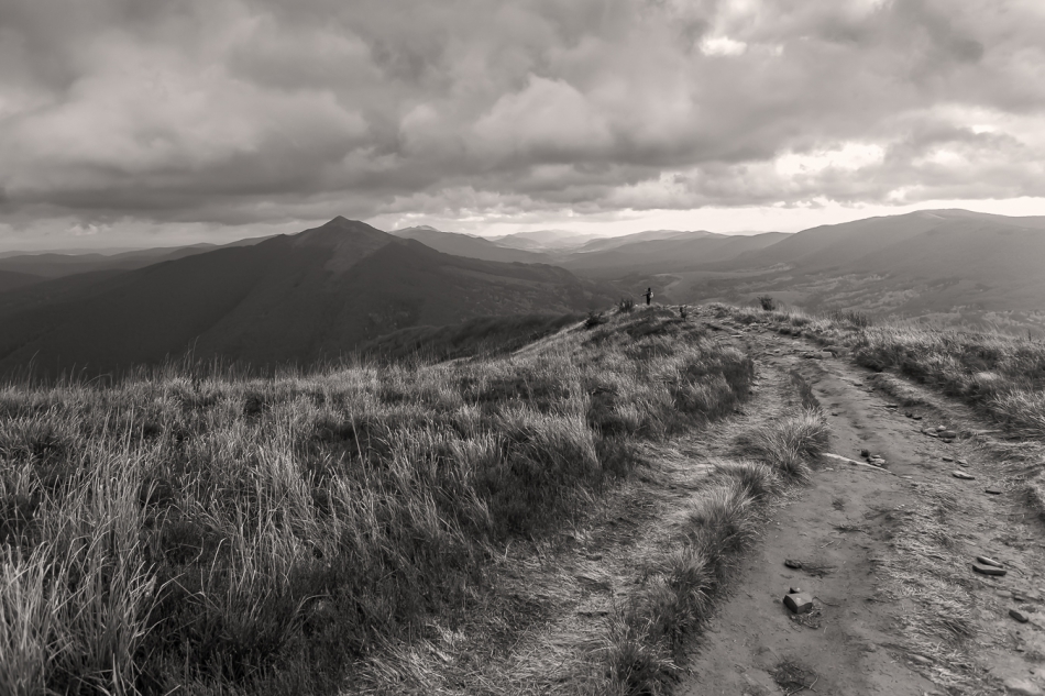 . Bieszczady.  Widok z wetlińskiej na caryńską.. Zdjęcie 308728