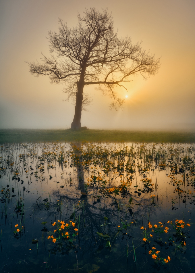 shooter76 - . . Zdjęcie 301879