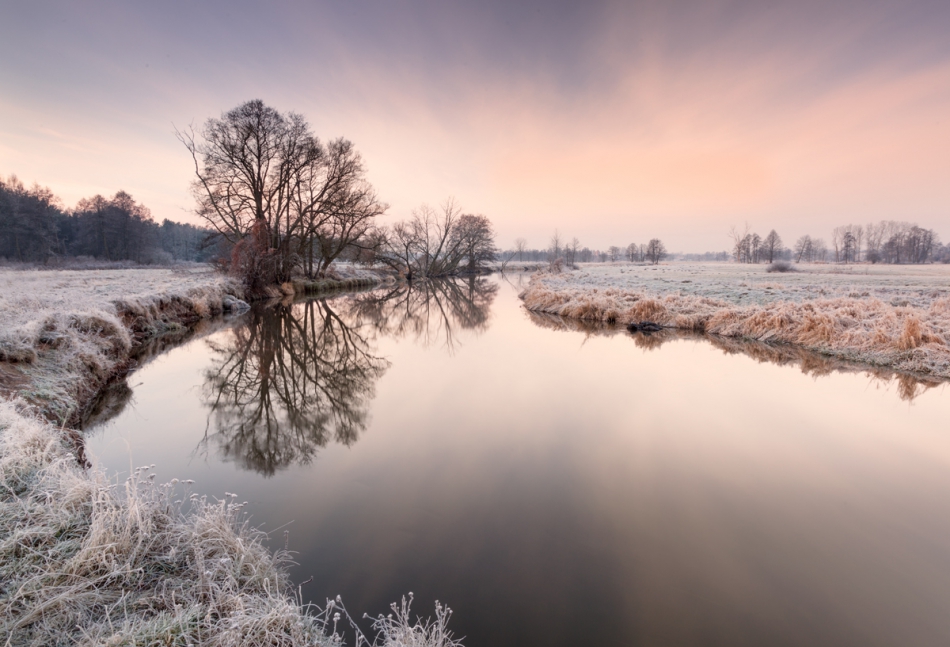 rysiek53 - . . Zdjęcie 222887