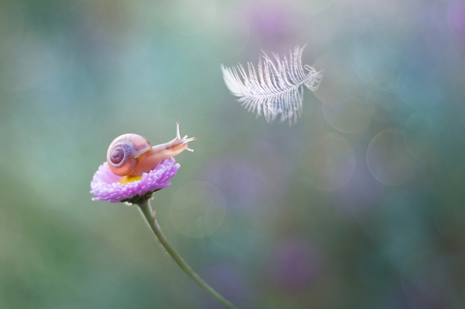 agnez - . PE. Zdjęcie 236860