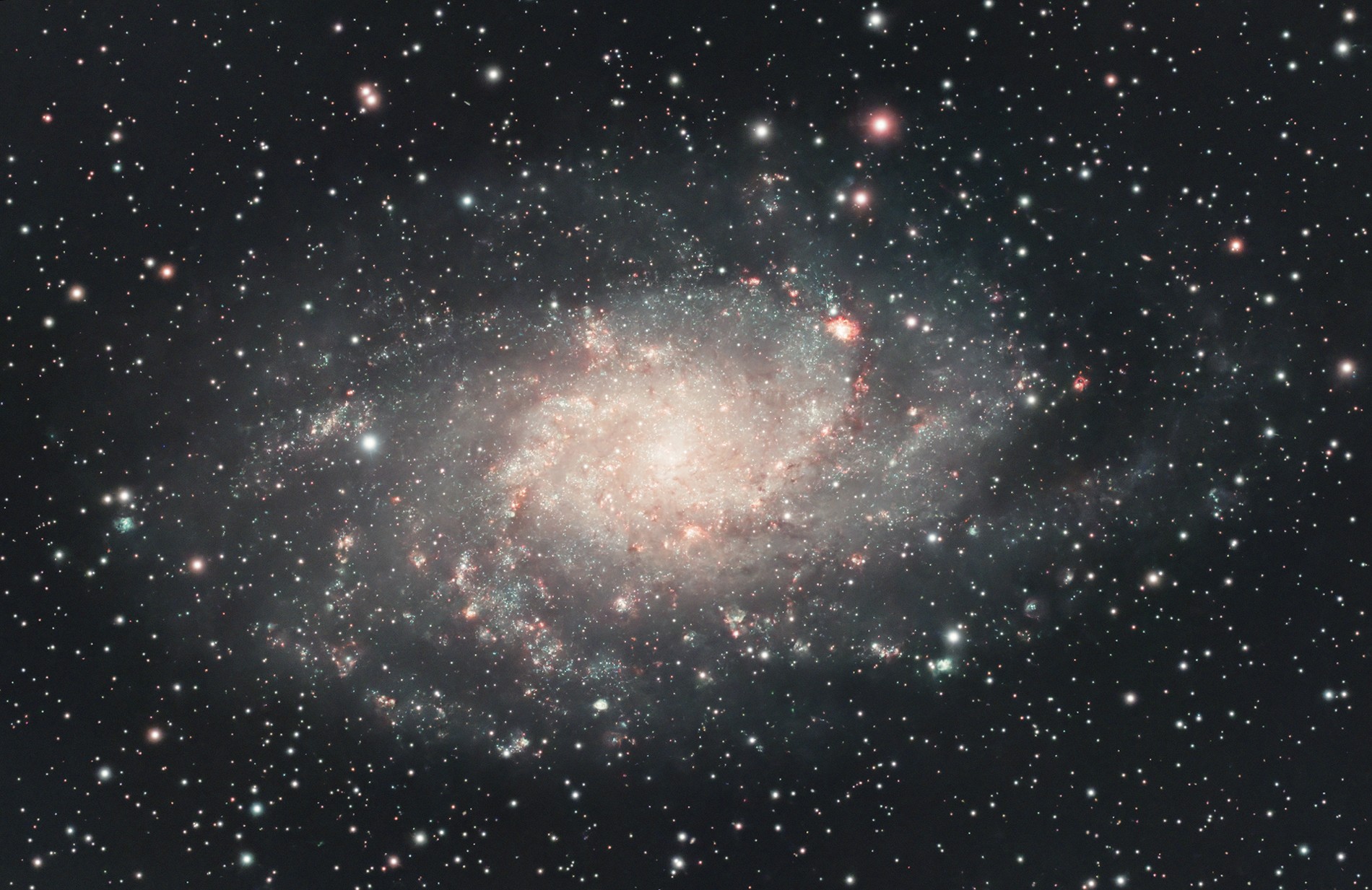 M33