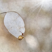 Porcelain Emptiness