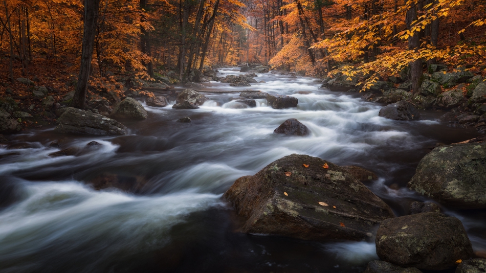 zbirek - . . Zdjęcie 235870