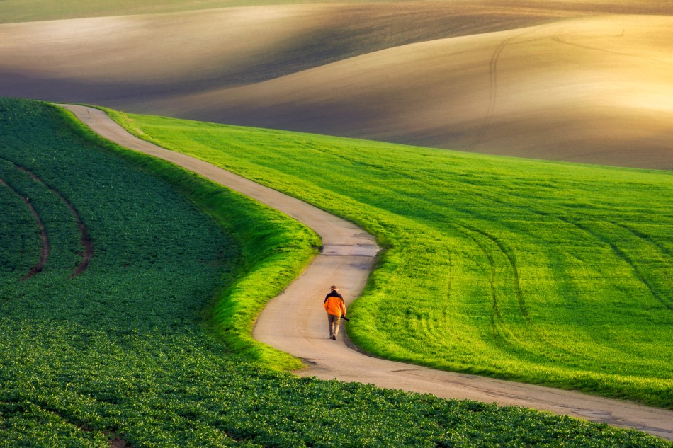 Wśród morawskich pól . . Zdjęcie 338909