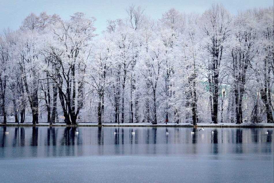 Zimowy widok. . Zdjęcie 338512