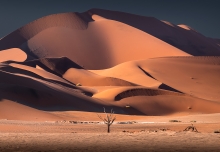 Wydmy Namib