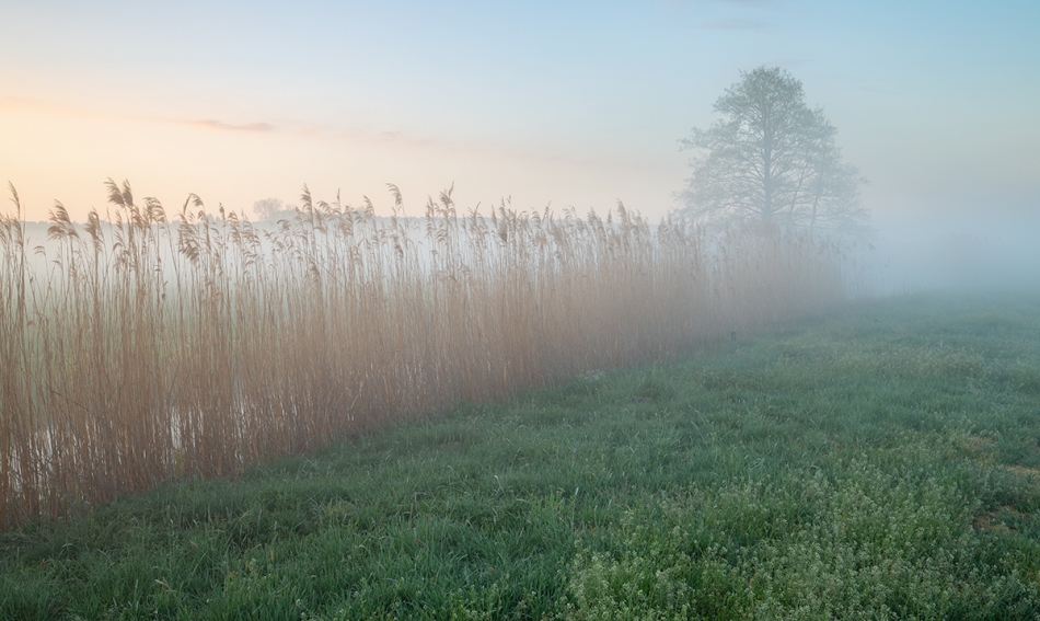walz - ***. . Zdjęcie 329393