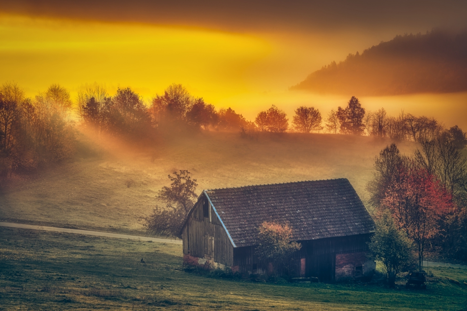 shooter76 - . . Zdjęcie 308399