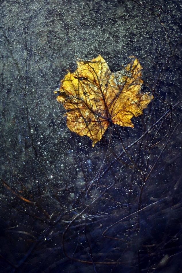 izis - .... . Zdjęcie 336536