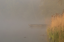 Uśpiony staw