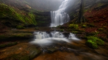 Scaleber Foss