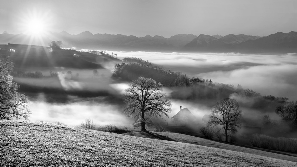 Lueg. .. Zdjęcie 338985