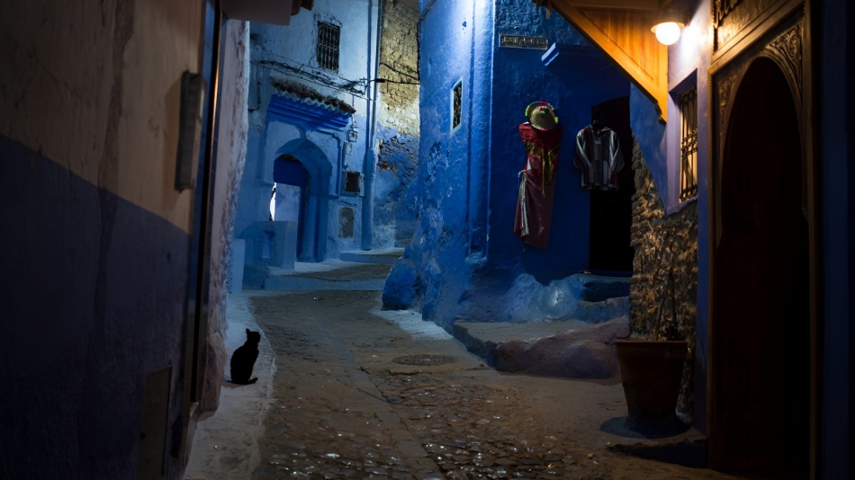 pak76 - . . Zdjęcie 318692