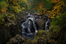 Hermitage - magical Per...