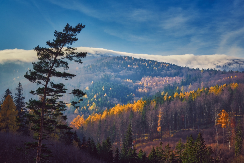 shooter76 - . . Zdjęcie 306354