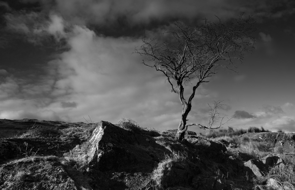 starinski - . . Zdjęcie 151577