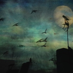 Sni? mi sie sen ..Sen wietrzny...