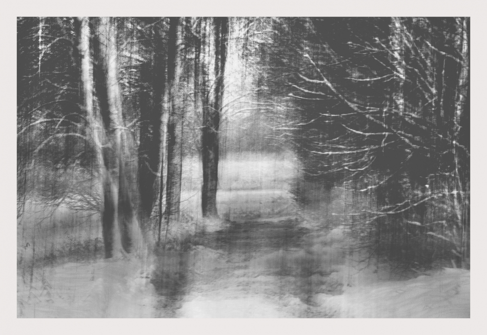 puszek - . . Zdjęcie 321118