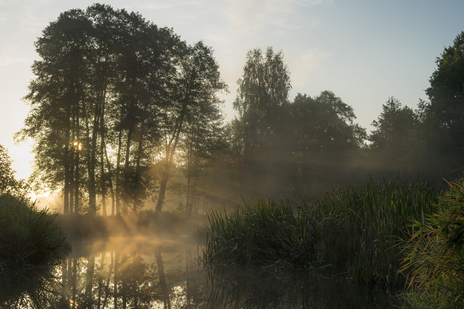 wojciechcy - . . Zdjęcie 318821