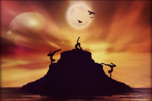 The New Land